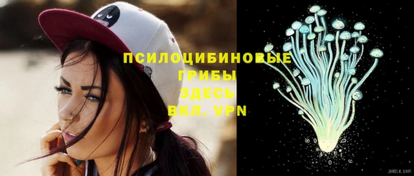 Альфа ПВП Арсеньев