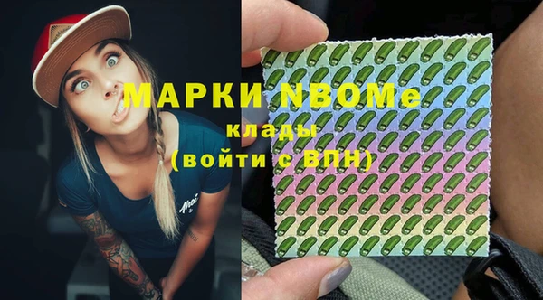 индика Армянск