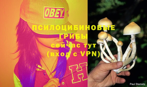 тгк Саяногорск