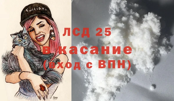 индика Армянск