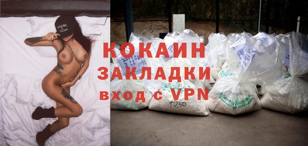 индика Армянск