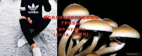 индика Армянск
