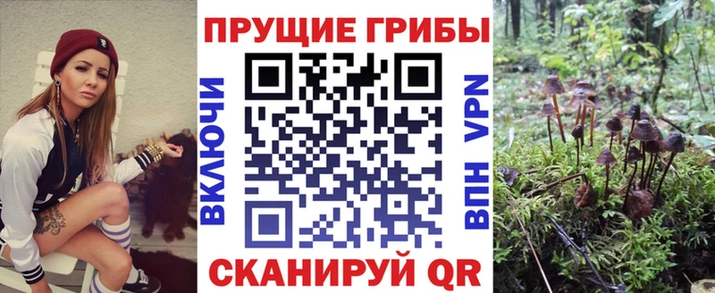 Галлюциногенные грибы мицелий  кракен   Ахтубинск 