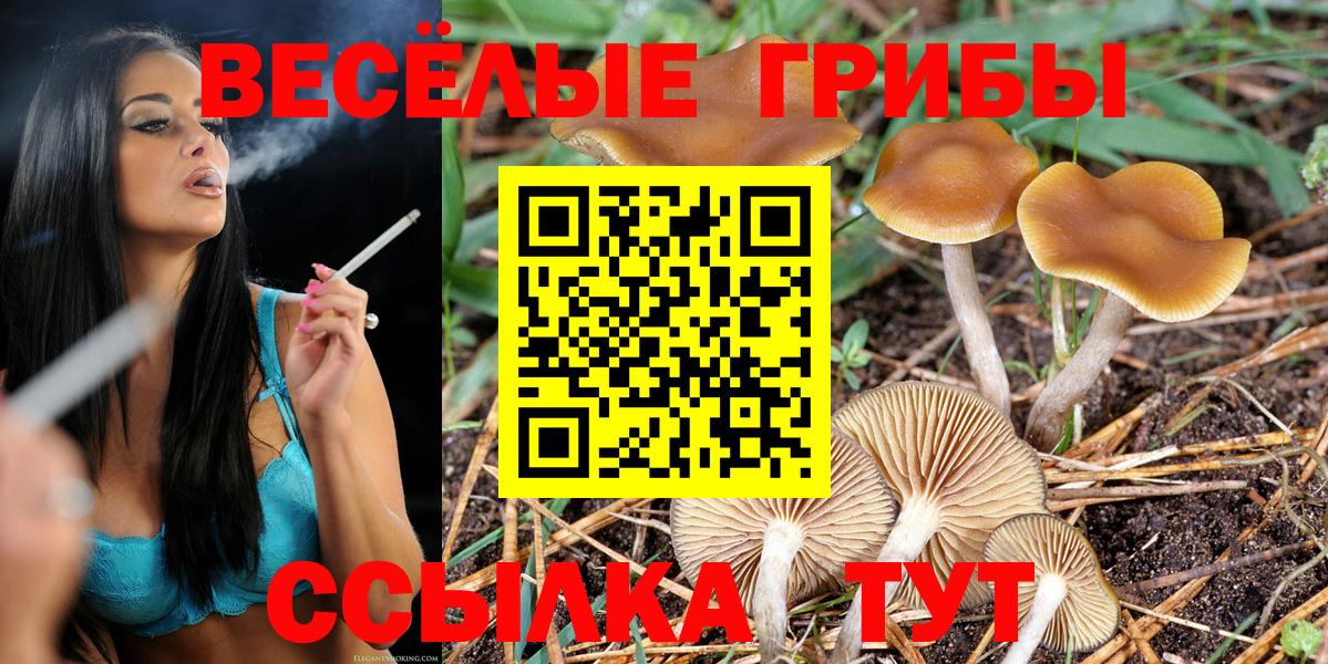 Псилоцибиновые грибы GOLDEN TEACHER  Псилоцибиновые грибы Psilocybine cubensis  Вход с VPN  где можно купить   Ахтубинск 